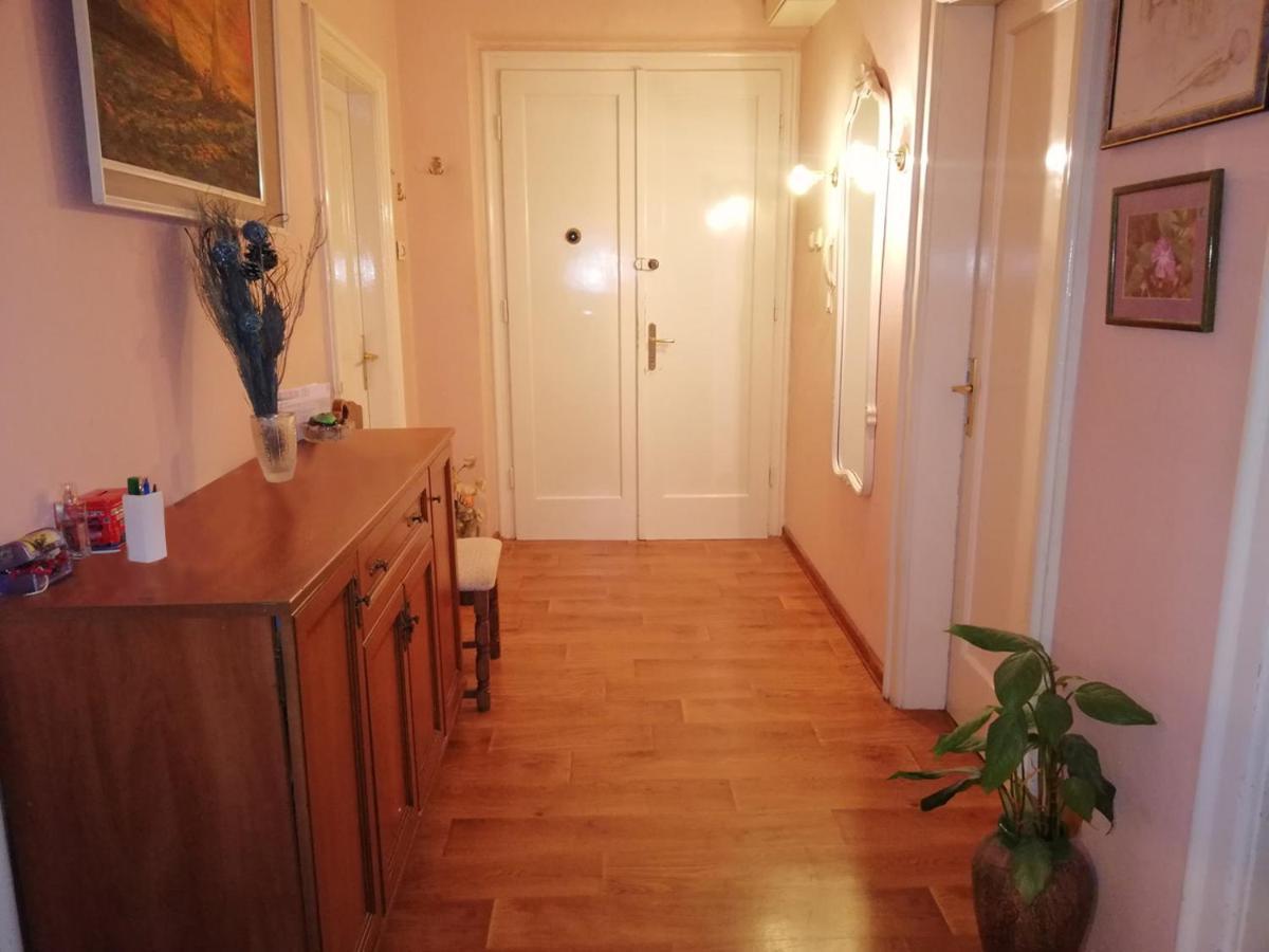 Apartment Mahonia Спліт Екстер'єр фото